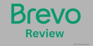 brevo review